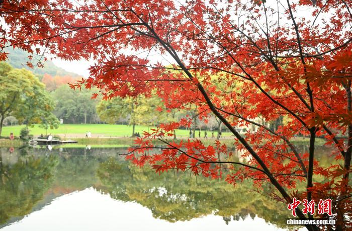 BT8博龍娛樂：江南鼕日 杭州西湖林木斑斕景色迷人