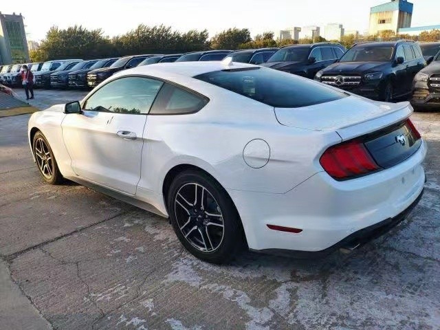 {21點}(福特野马跑车多少钱一辆新款)