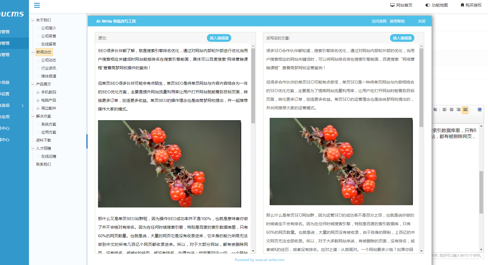 {足球投注}(智能改写工具怎么用)