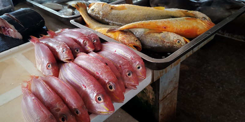 {線上賭場}(万宁哪里有卖海鲜的码头)