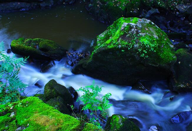 {網上賭場}(七月去哪里旅游最好呢) {網上賭場}(七月去哪里旅游最好呢)